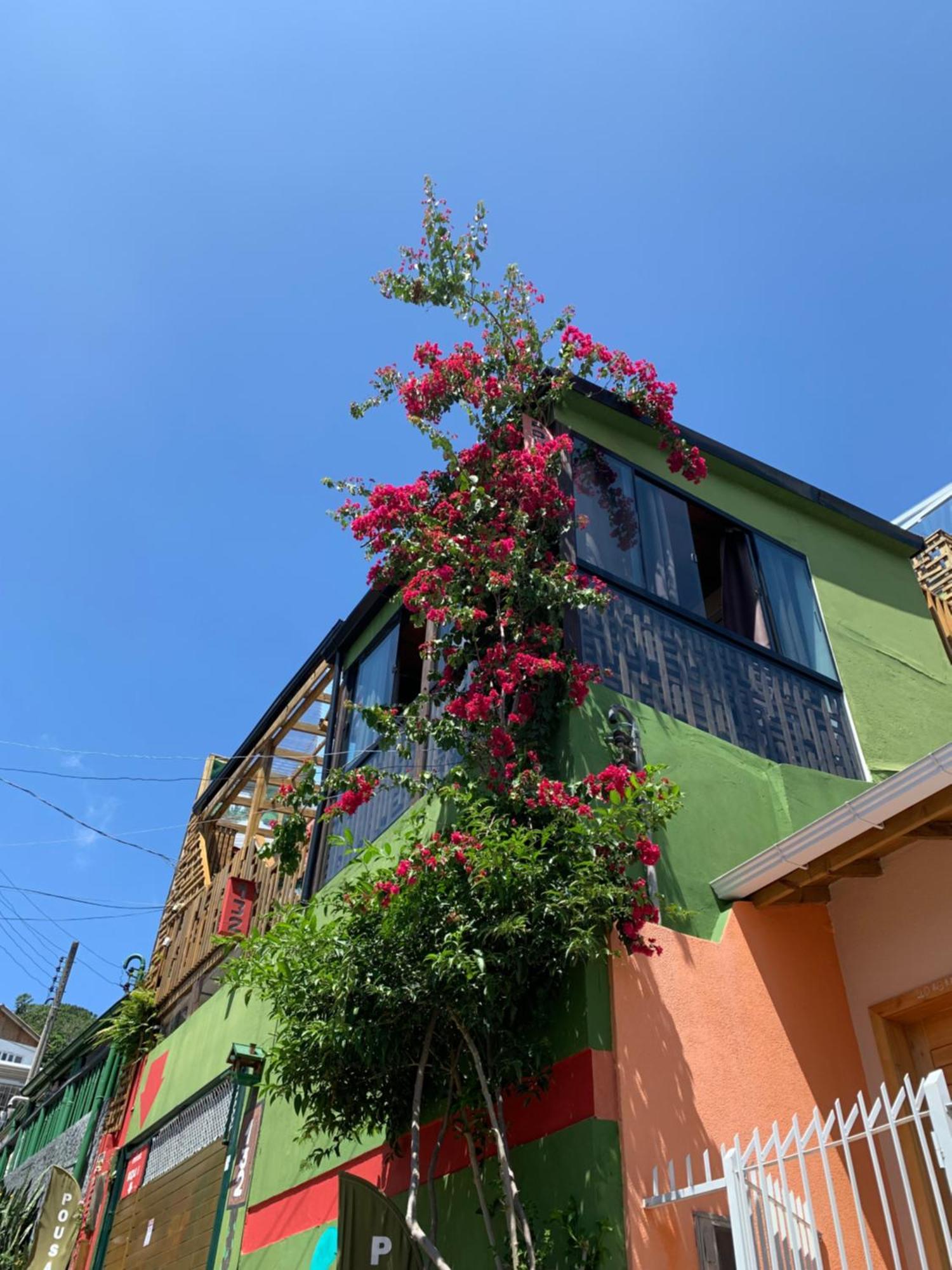 Suite Confortavel 5 Florianópolis Dış mekan fotoğraf