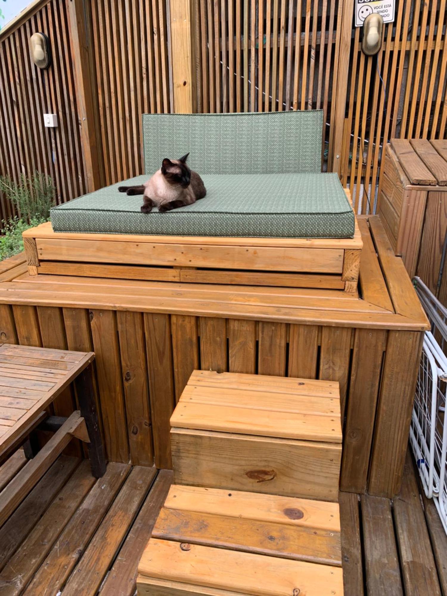 Suite Confortavel 5 Florianópolis Dış mekan fotoğraf